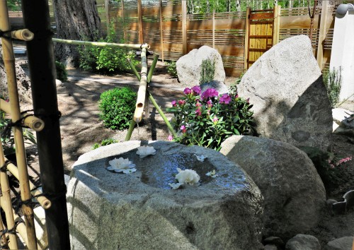 Water bowl cut into a granite rock being fed by bamboo piping with floating white flowers, surrounded by rock landscaping and a wooden fence in the background